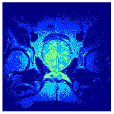 Applsci 14 09785 i0117