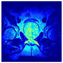 Applsci 14 09785 i0118