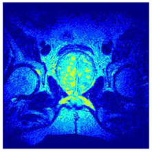 Applsci 14 09785 i0119