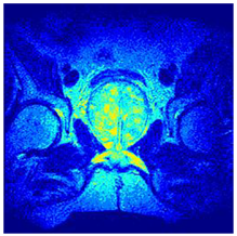 Applsci 14 09785 i0120