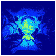 Applsci 14 09785 i0121