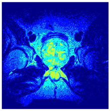 Applsci 14 09785 i0122