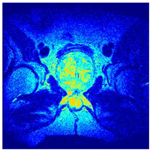 Applsci 14 09785 i0124