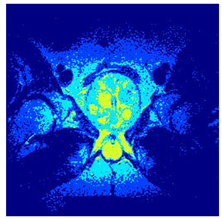 Applsci 14 09785 i0125