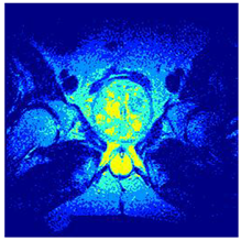 Applsci 14 09785 i0126