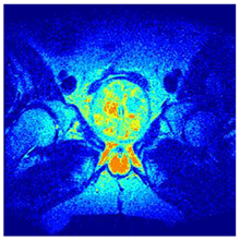 Applsci 14 09785 i0128