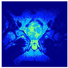 Applsci 14 09785 i0129