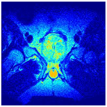 Applsci 14 09785 i0132