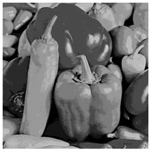 Applsci 14 09785 i024