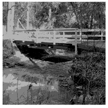 Applsci 14 09785 i034