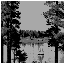 Applsci 14 09785 i041