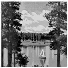 Applsci 14 09785 i044