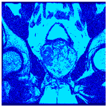 Applsci 14 09785 i093