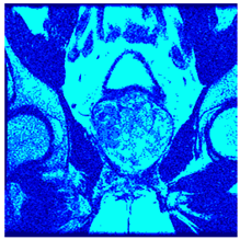 Applsci 14 09785 i094