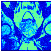 Applsci 14 09785 i096