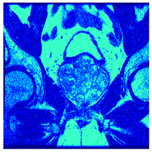 Applsci 14 09785 i099