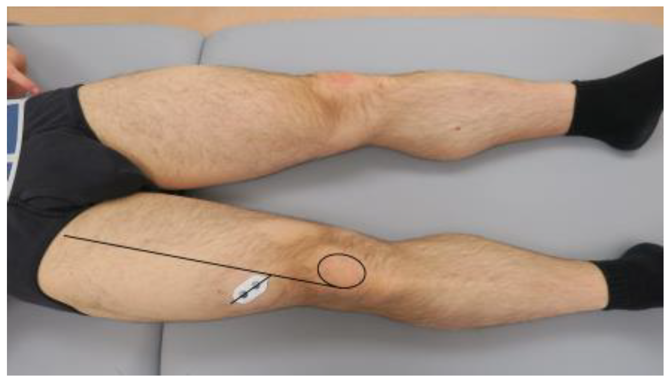 Applsci 14 09788 g002