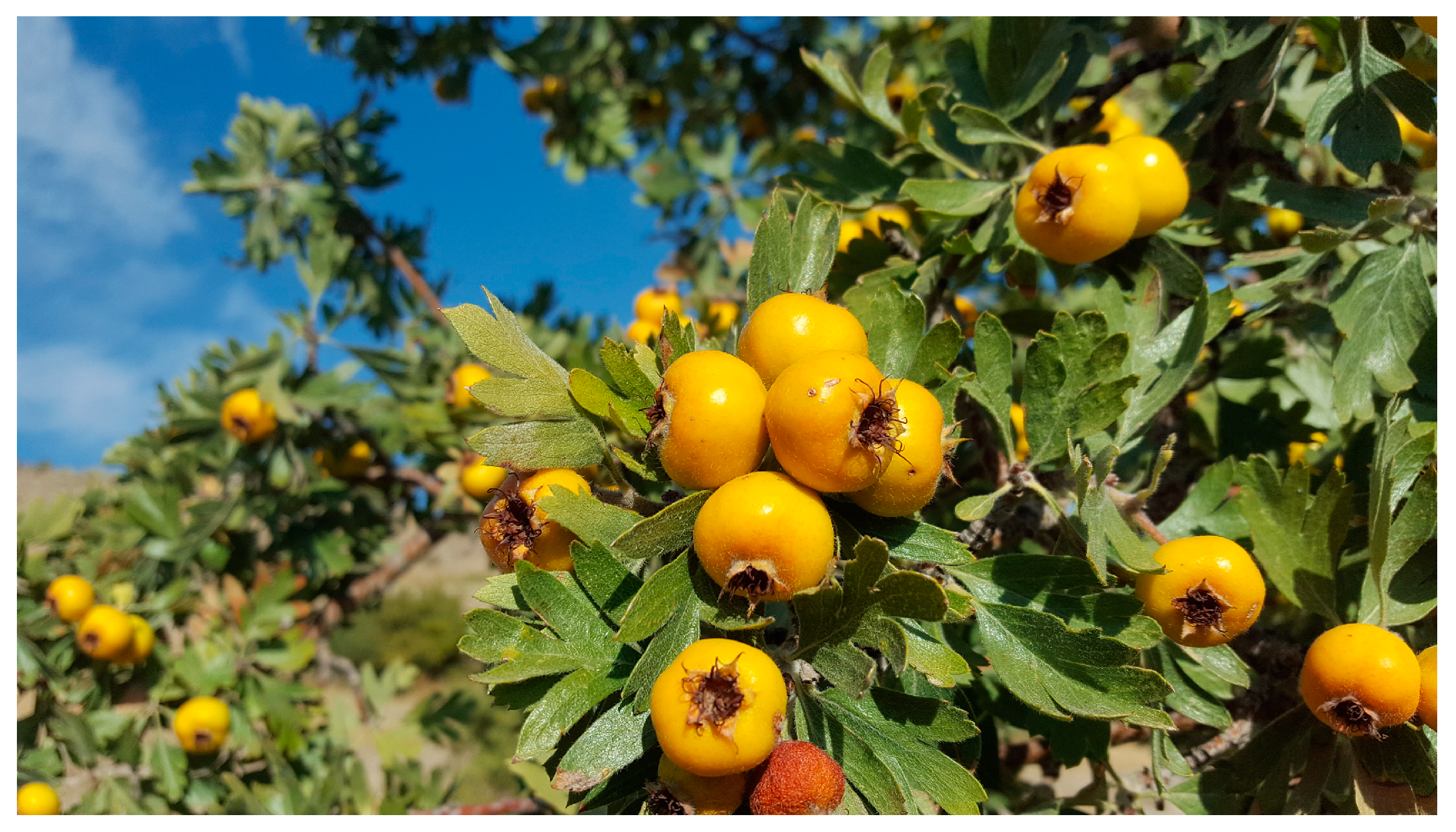 Applsci 14 09790 g001