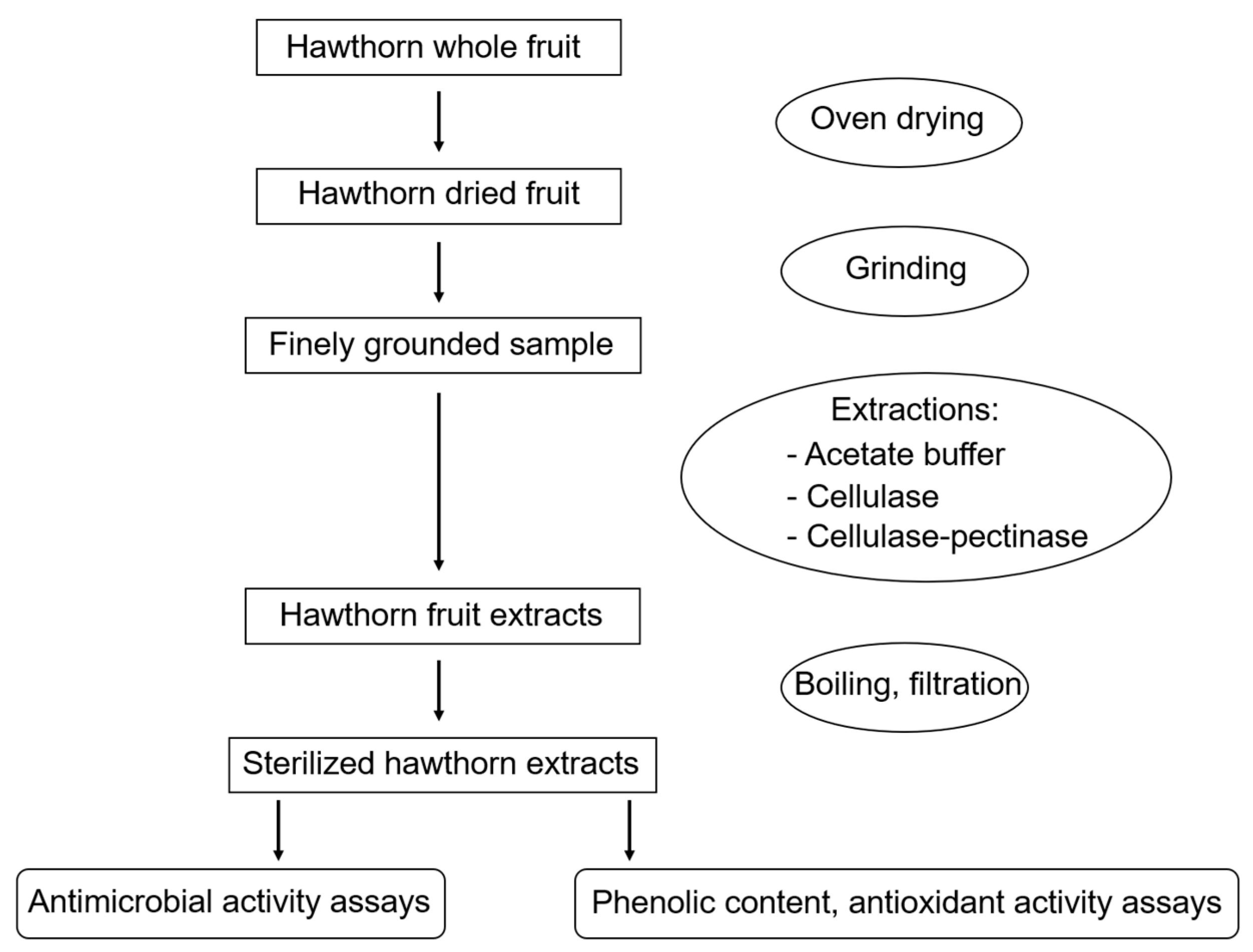 Applsci 14 09790 g002