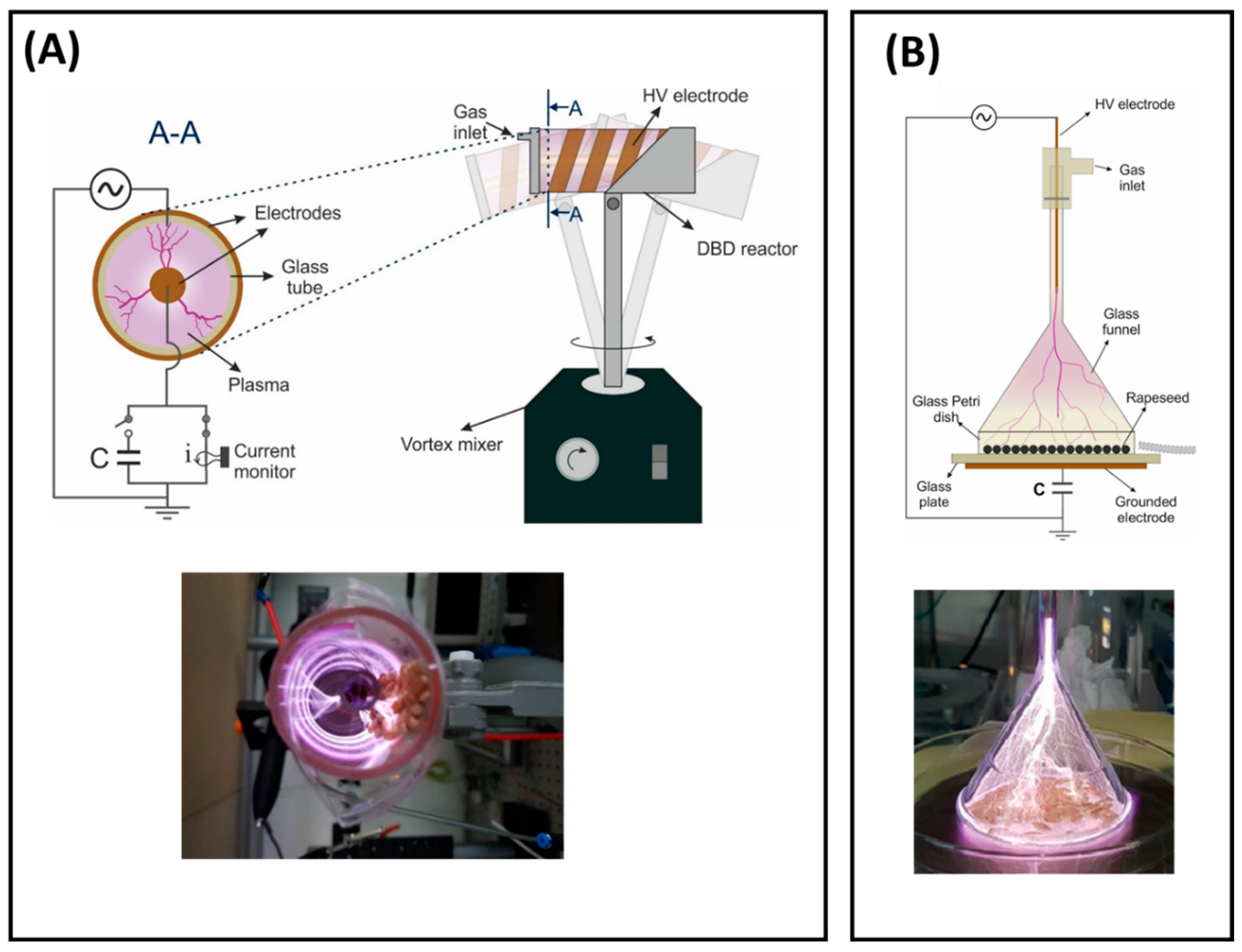 Applsci 14 09793 g001