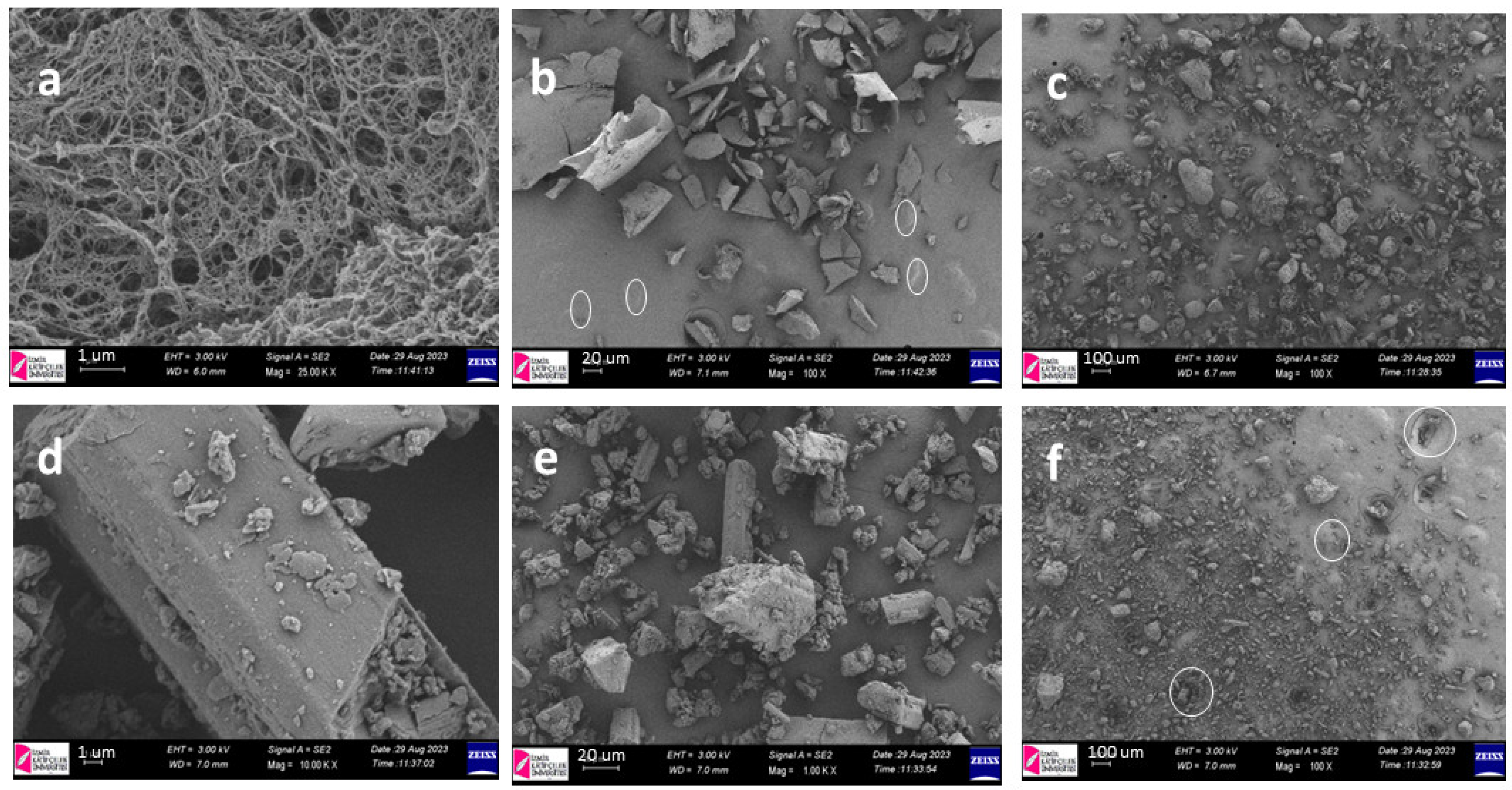 Applsci 14 09799 g004