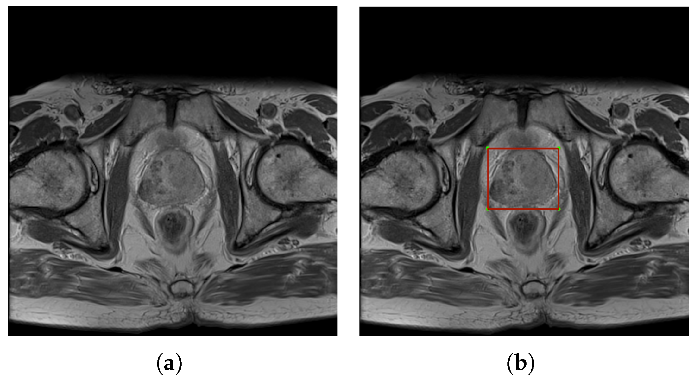 Applsci 14 09814 g002