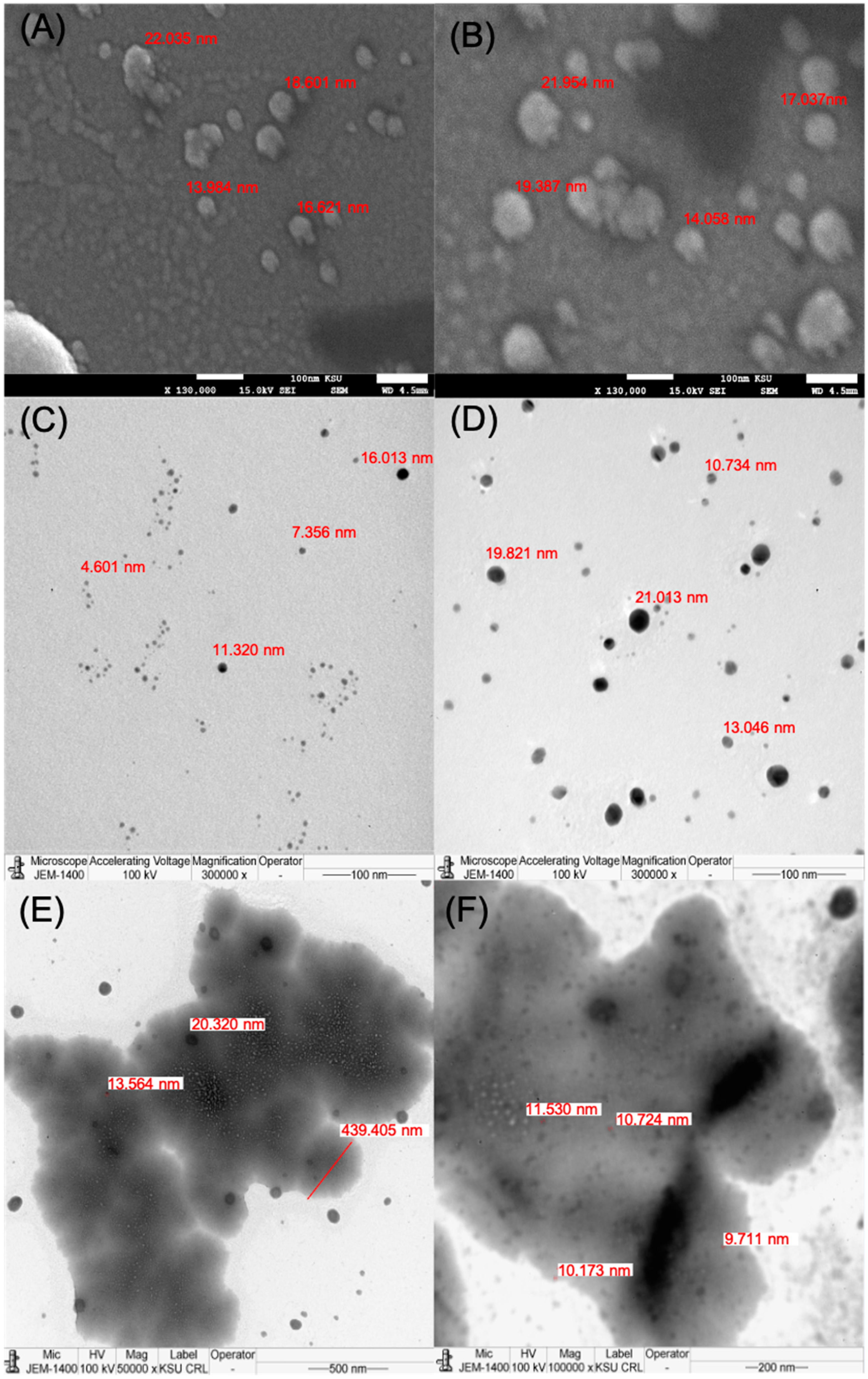 Applsci 14 09817 g001