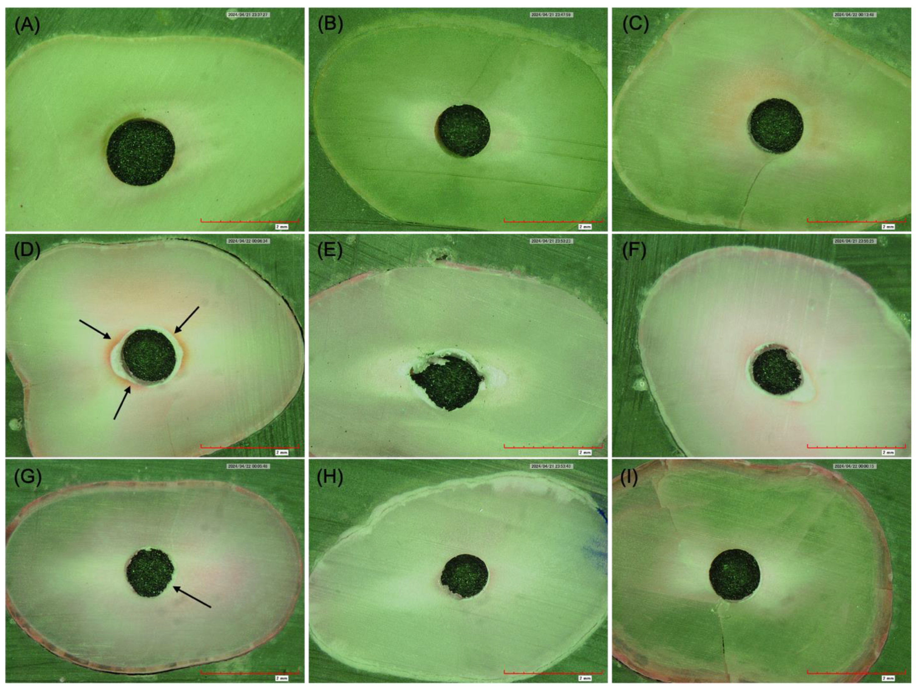 Applsci 14 09817 g002