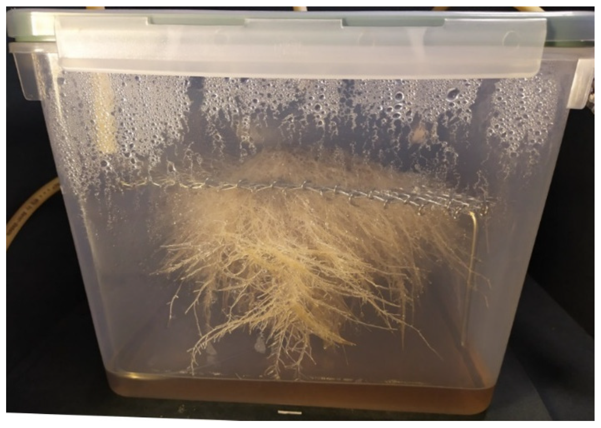 Applsci 14 09827 g005