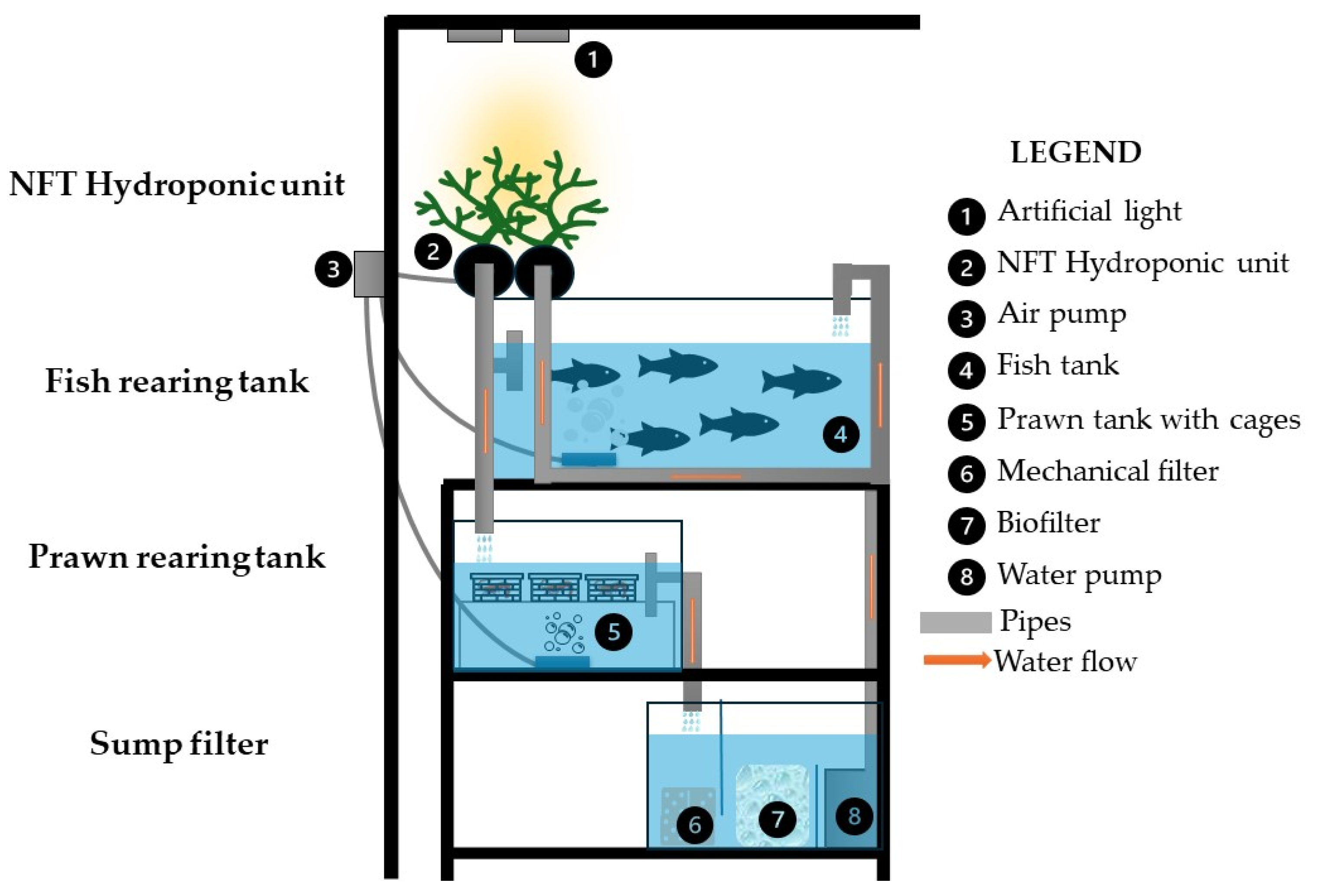 Applsci 14 09829 g001