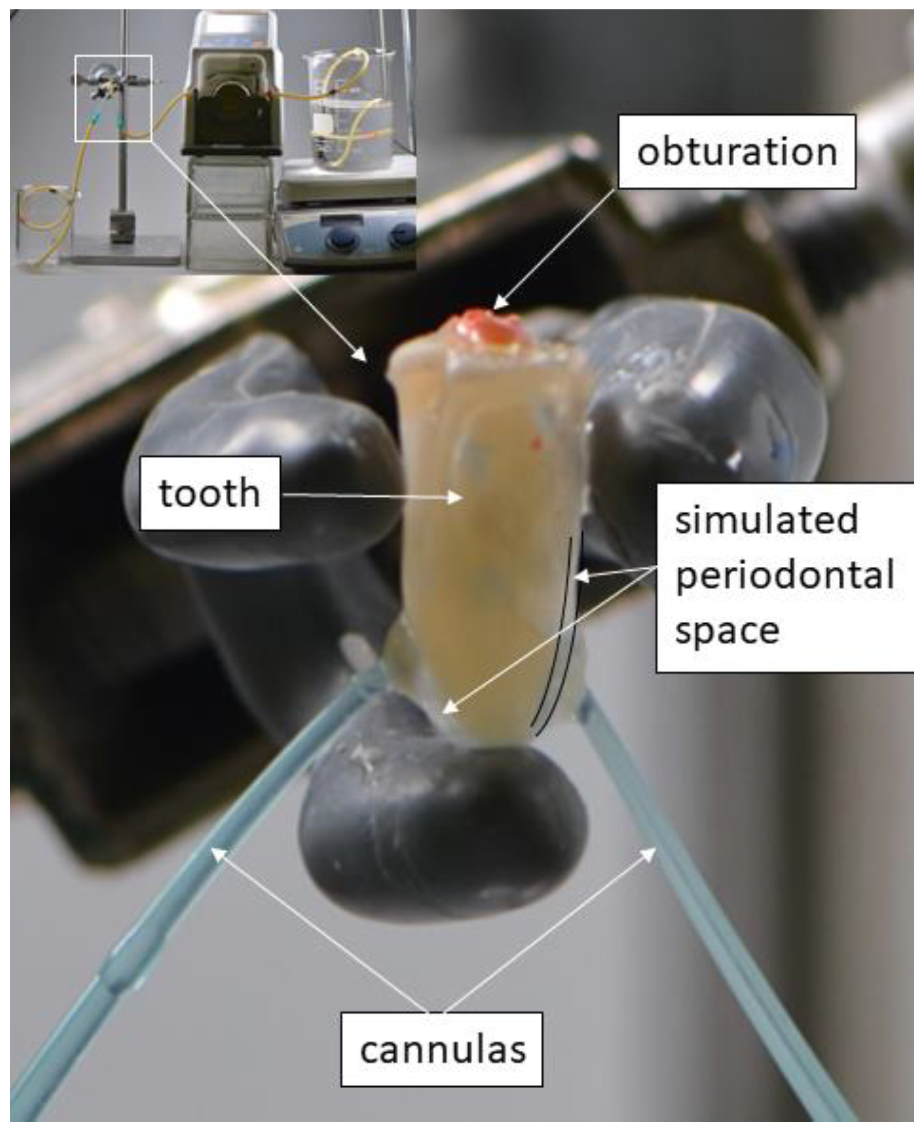 Applsci 14 09830 g001