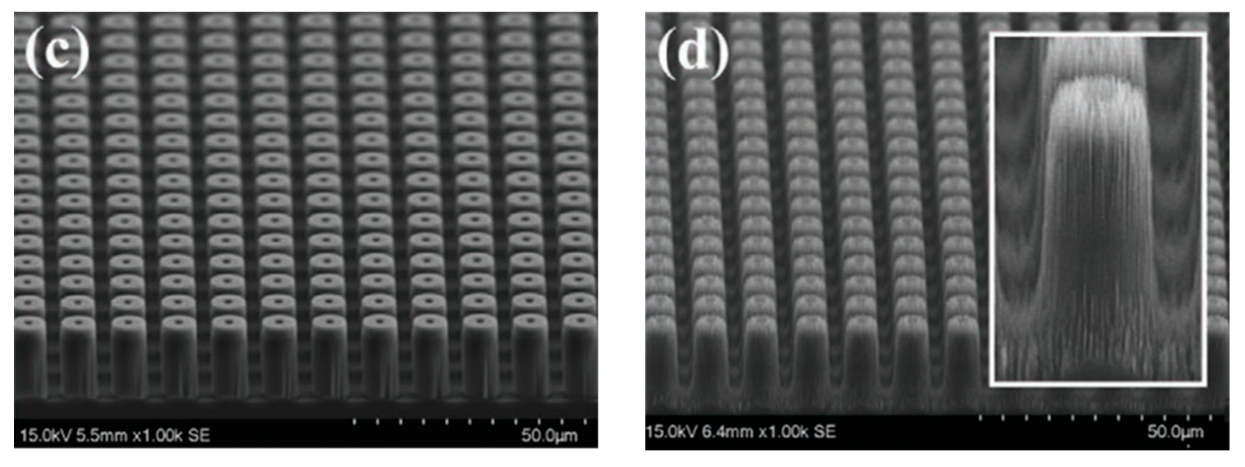 Applsci 14 09841 g002b