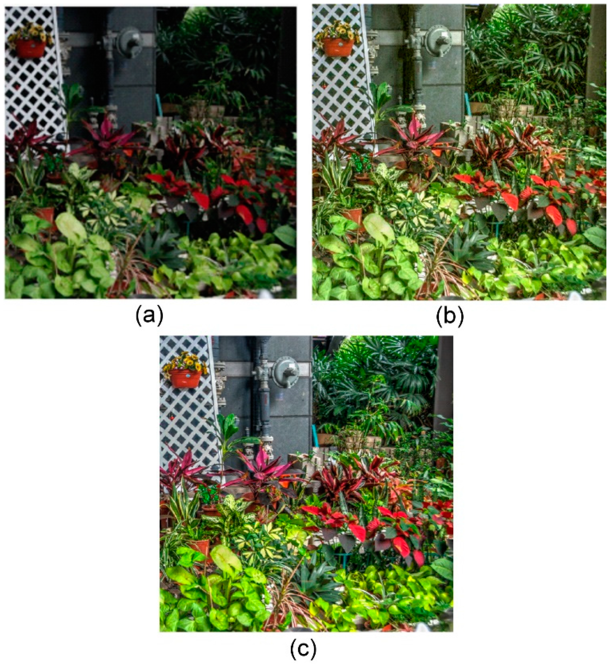 Applsci 14 09847 g005