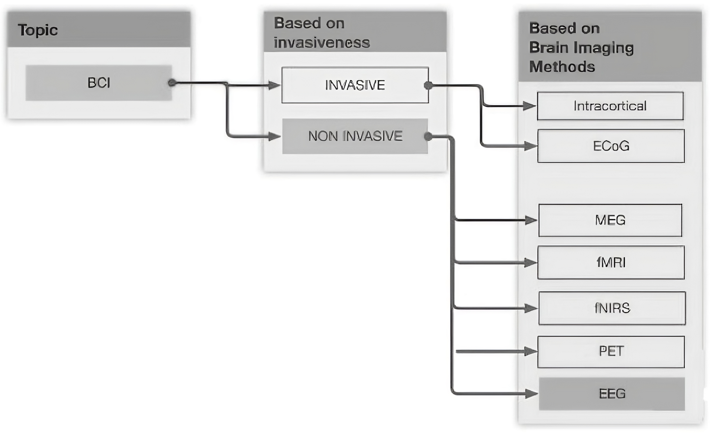 Applsci 14 09855 g001