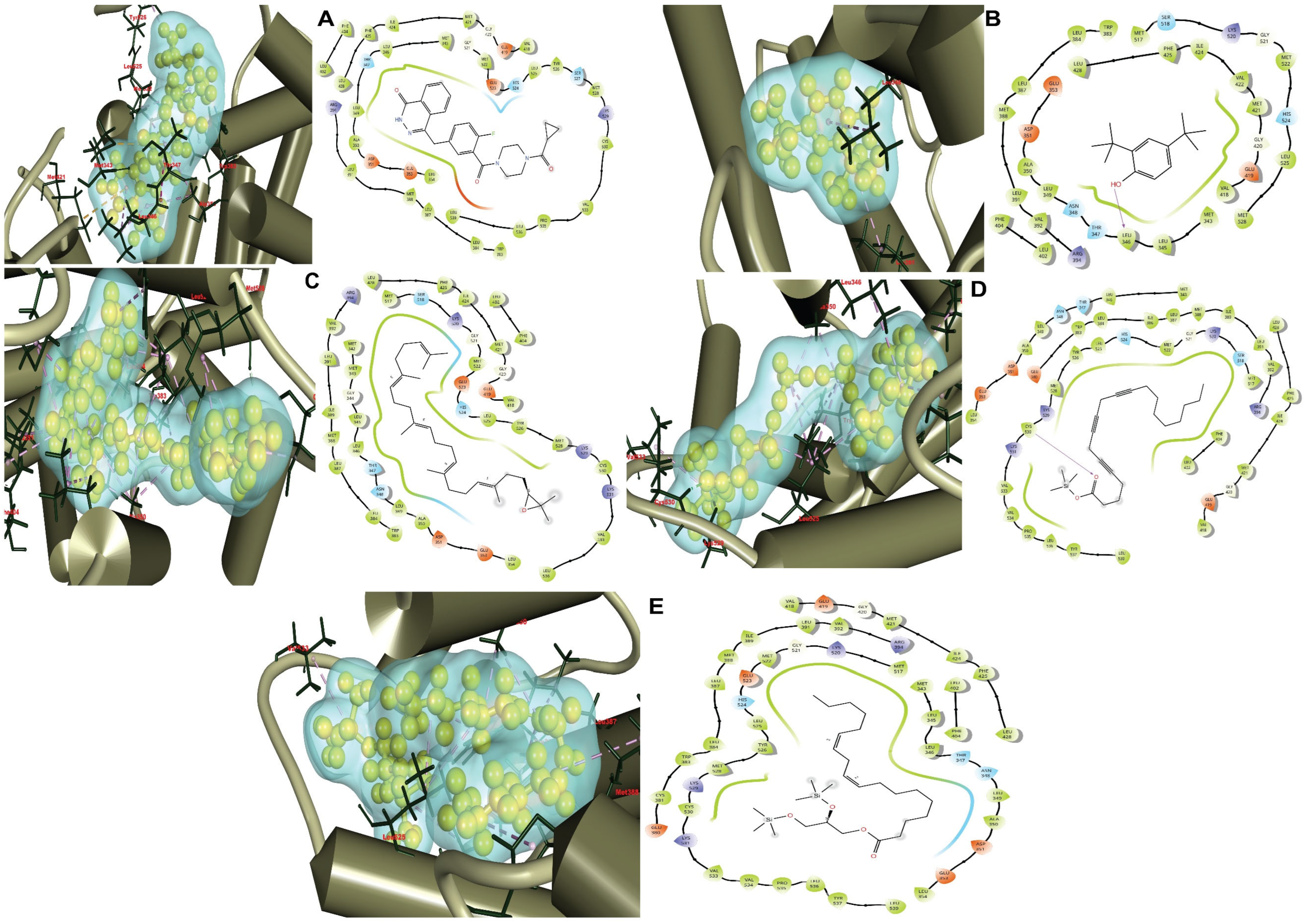 Applsci 14 09878 g001