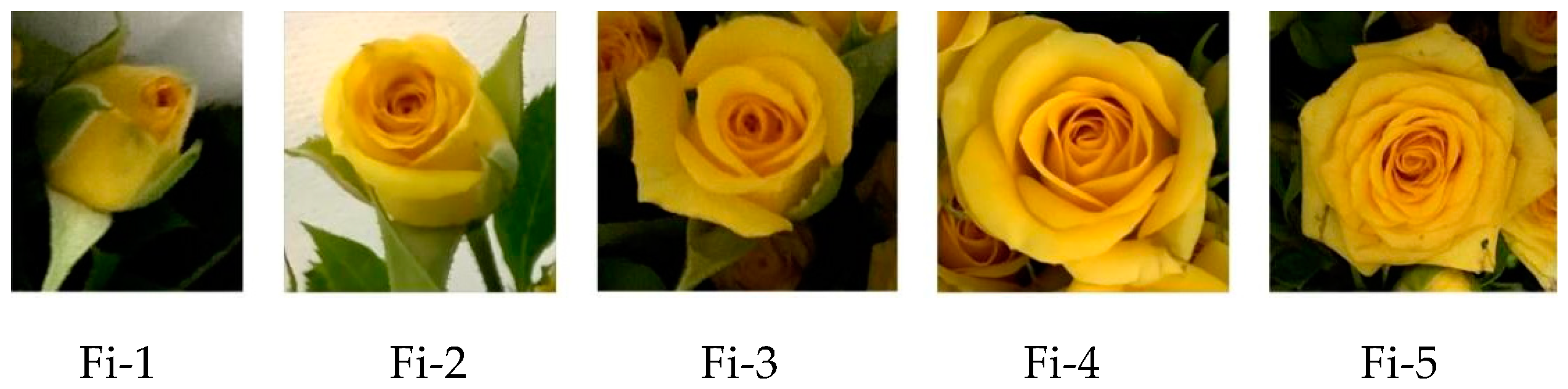 Applsci 14 09879 g001 Applsci 14 09879 g001