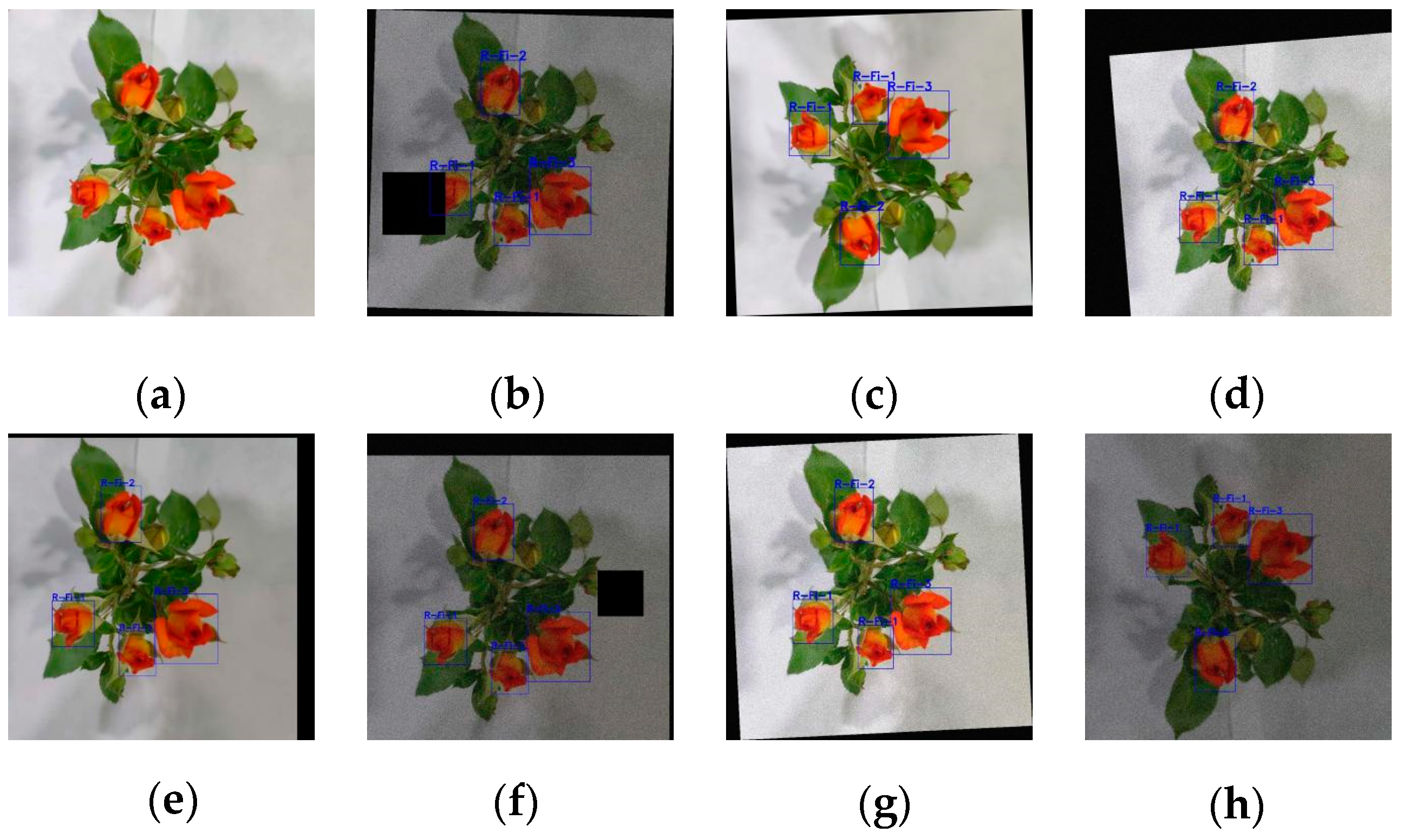 Applsci 14 09879 g002 Applsci 14 09879 g002