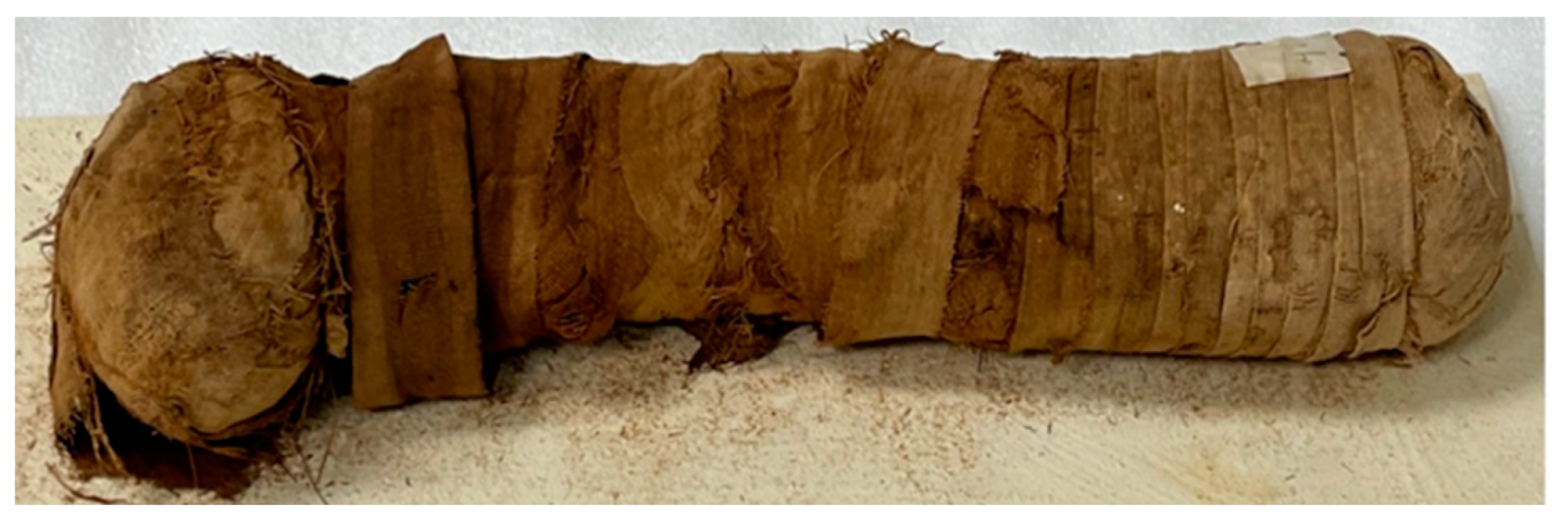 Applsci 14 09882 g001