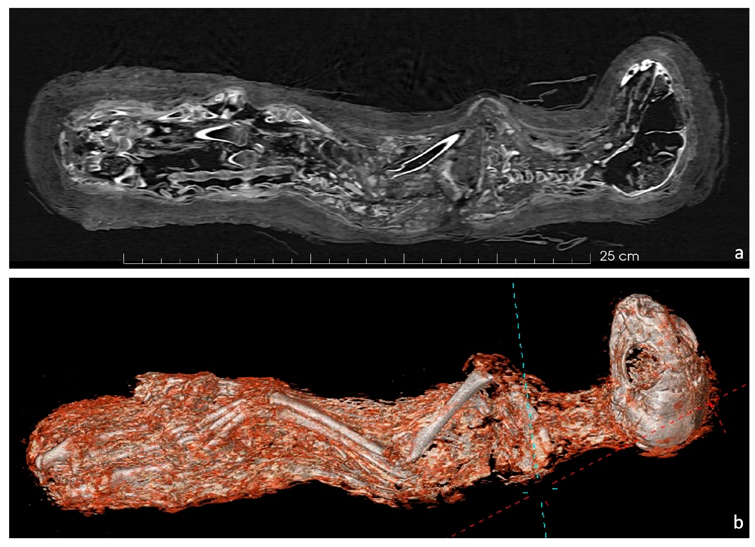 Applsci 14 09882 g002