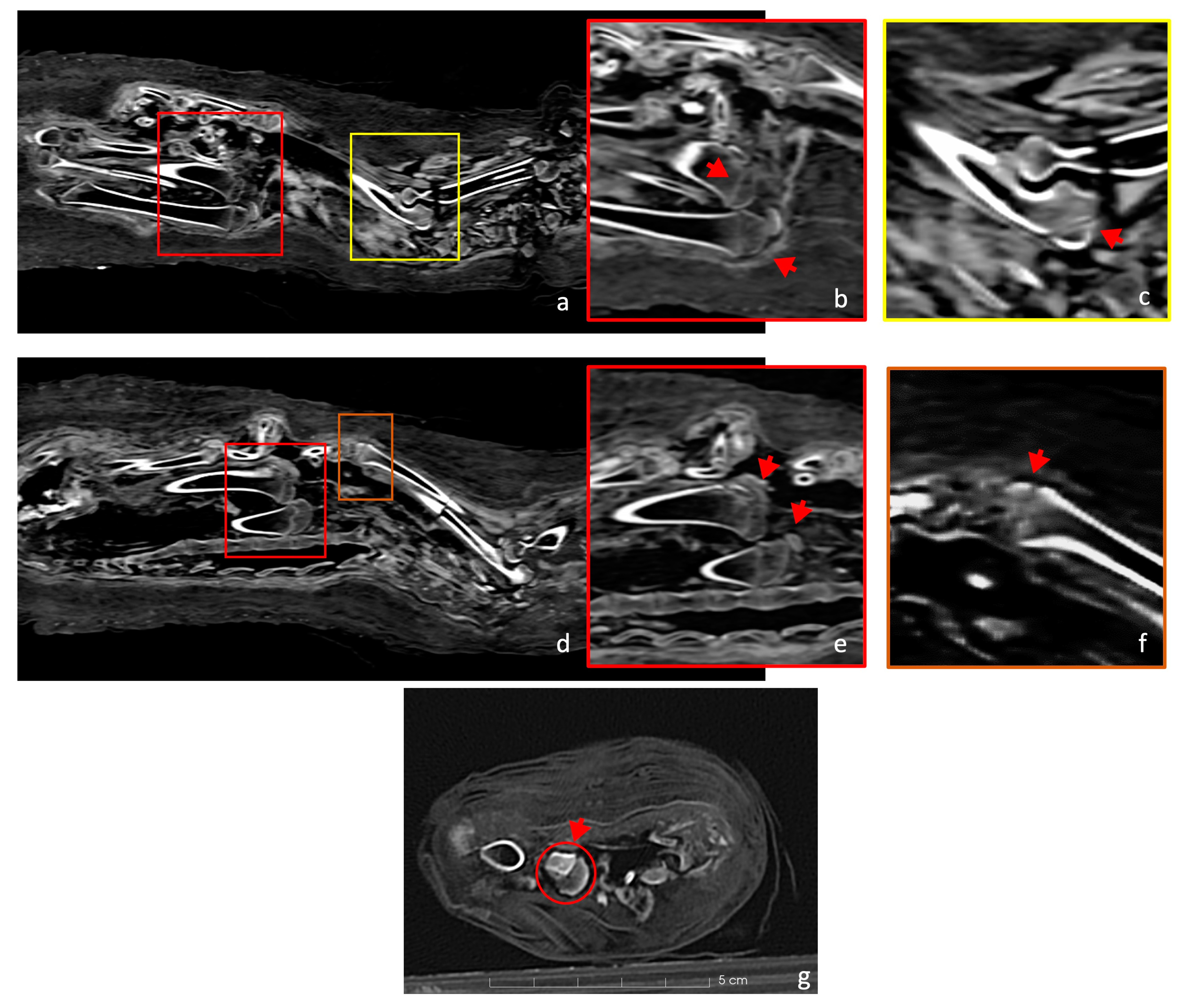 Applsci 14 09882 g004
