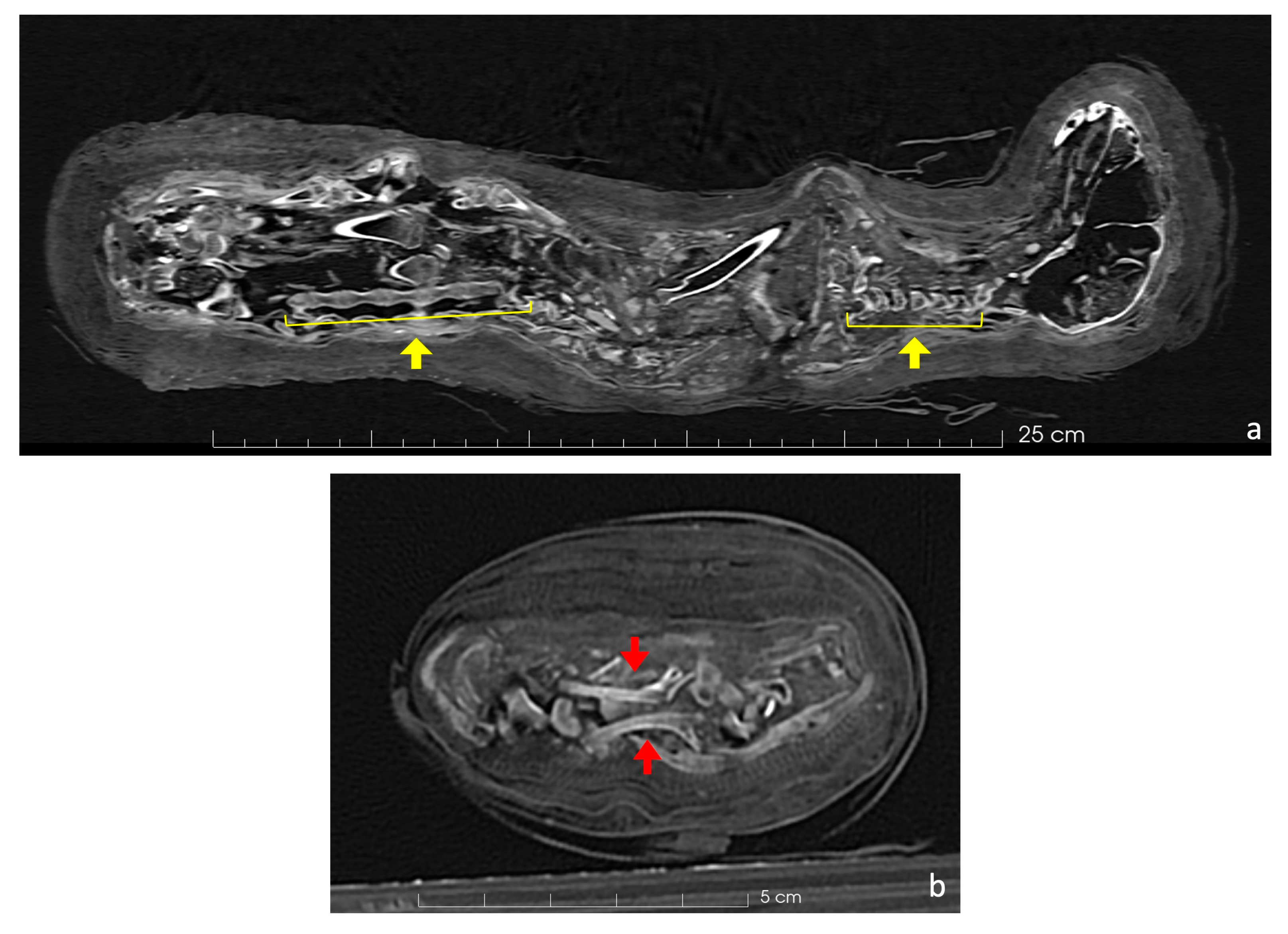 Applsci 14 09882 g007