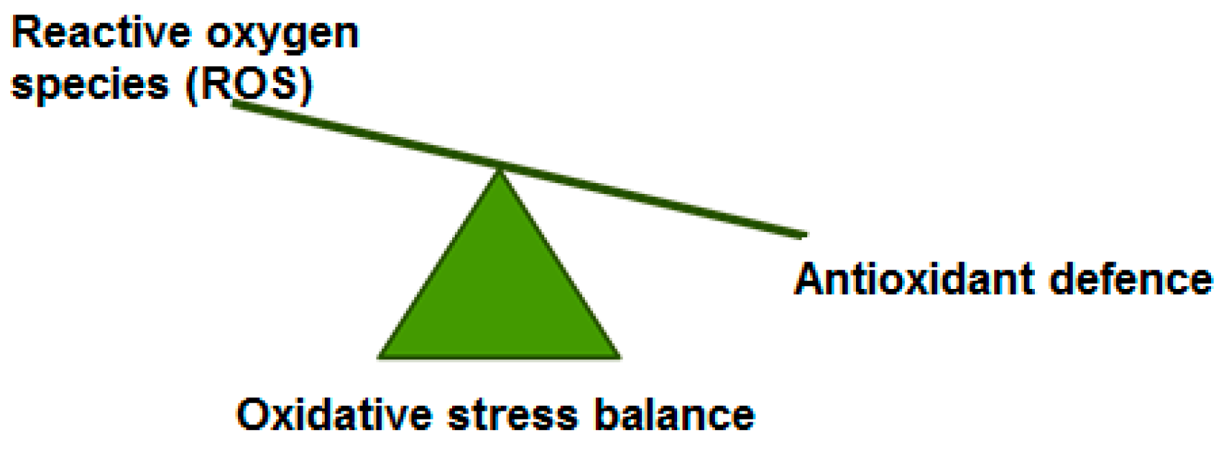 Applsci 14 09884 g001