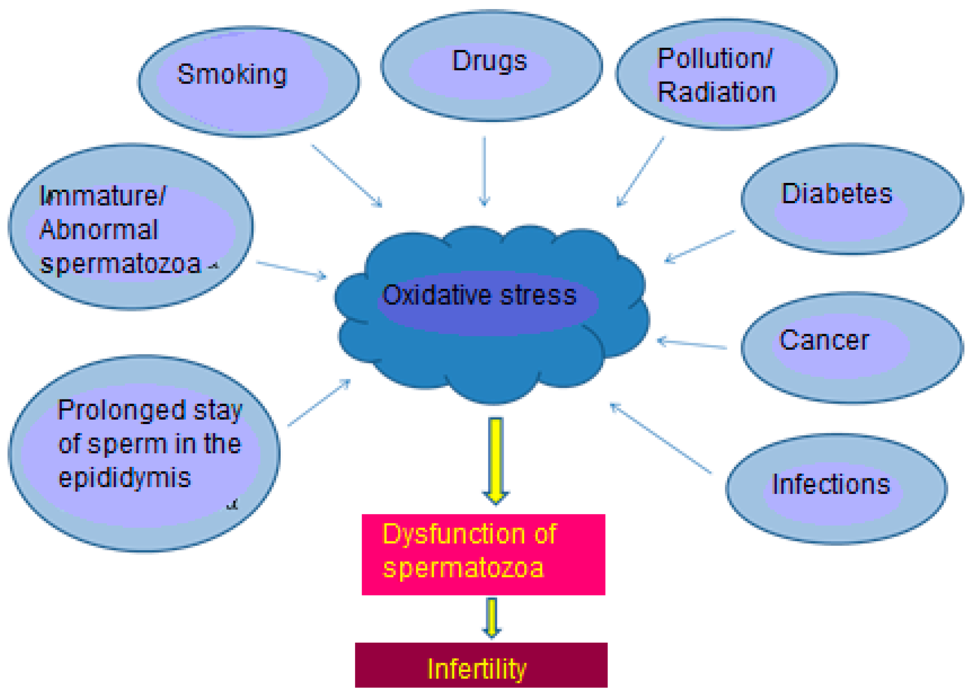 Applsci 14 09884 g002