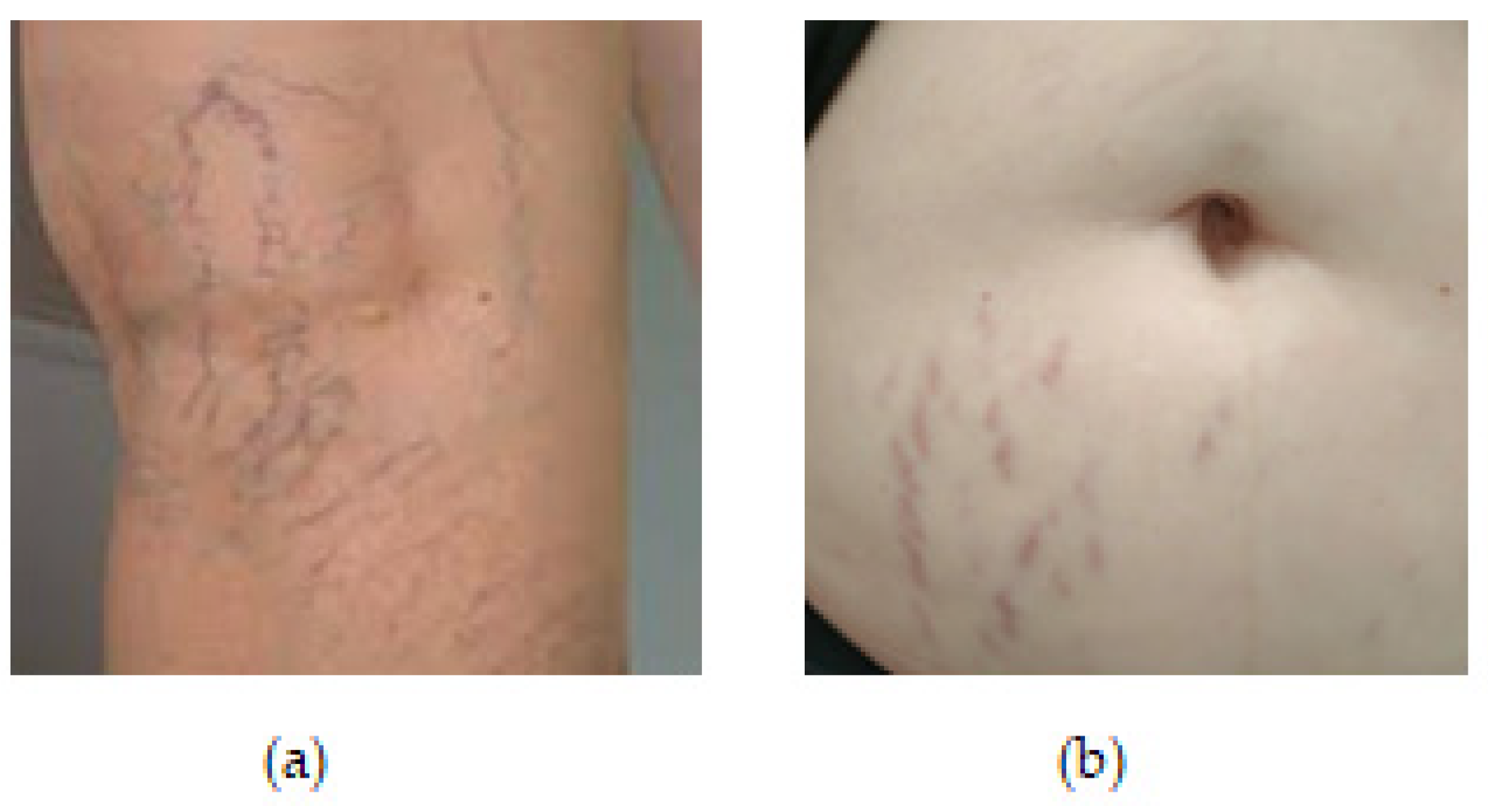 Applsci 14 09885 g001 Applsci 14 09885 g001