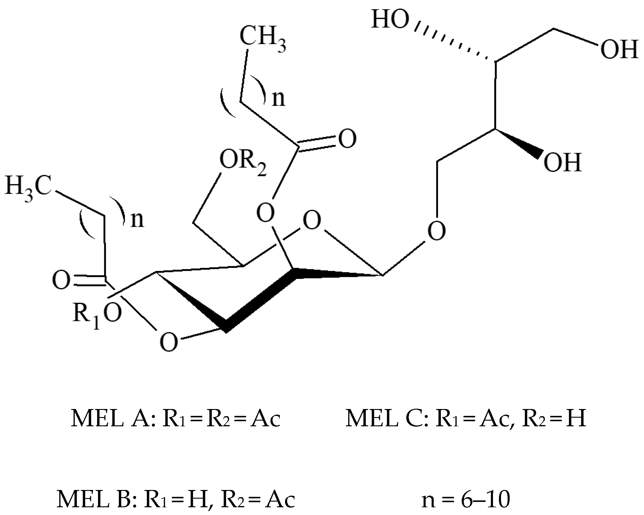 Applsci 14 09891 g001