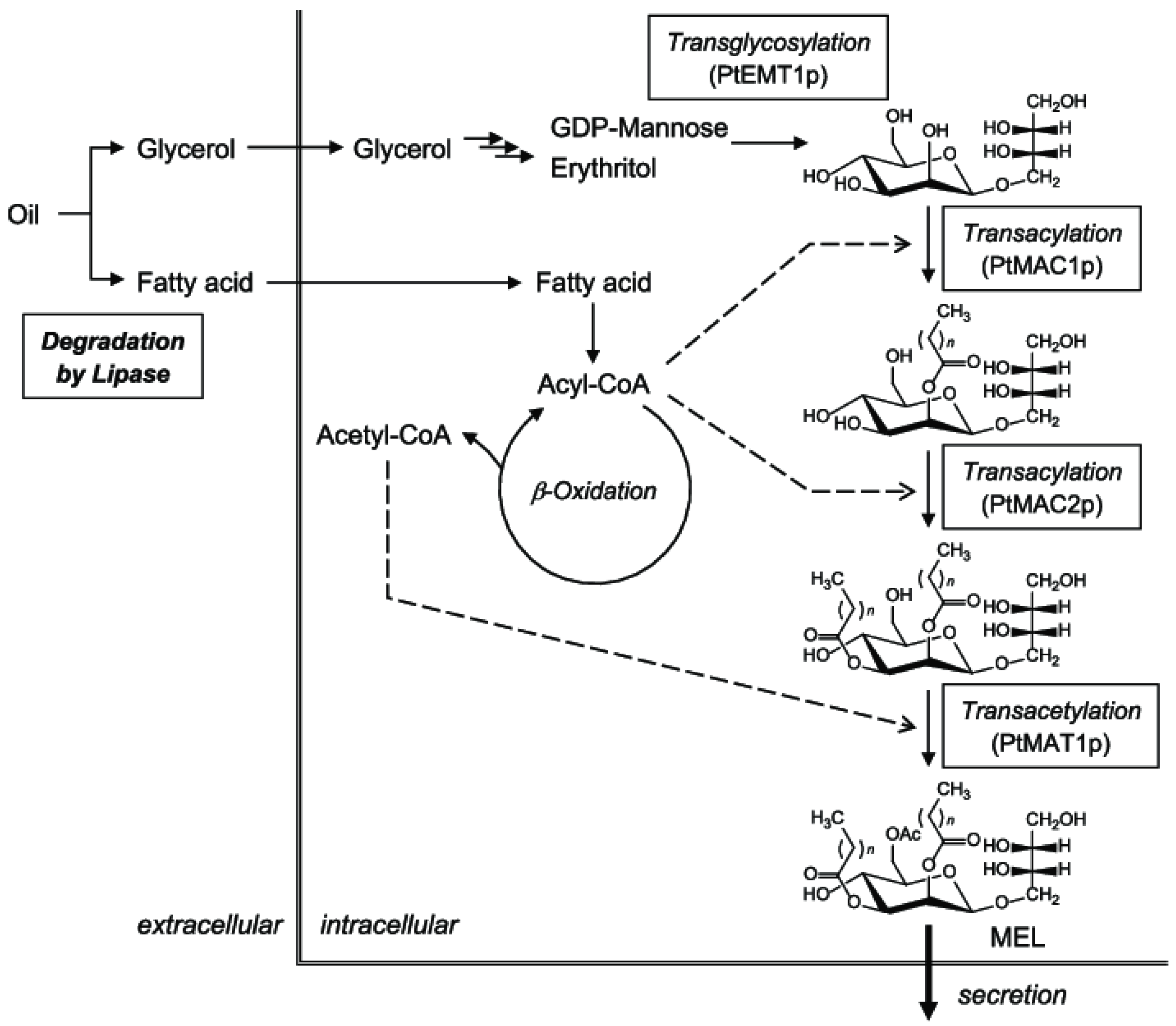 Applsci 14 09891 g007