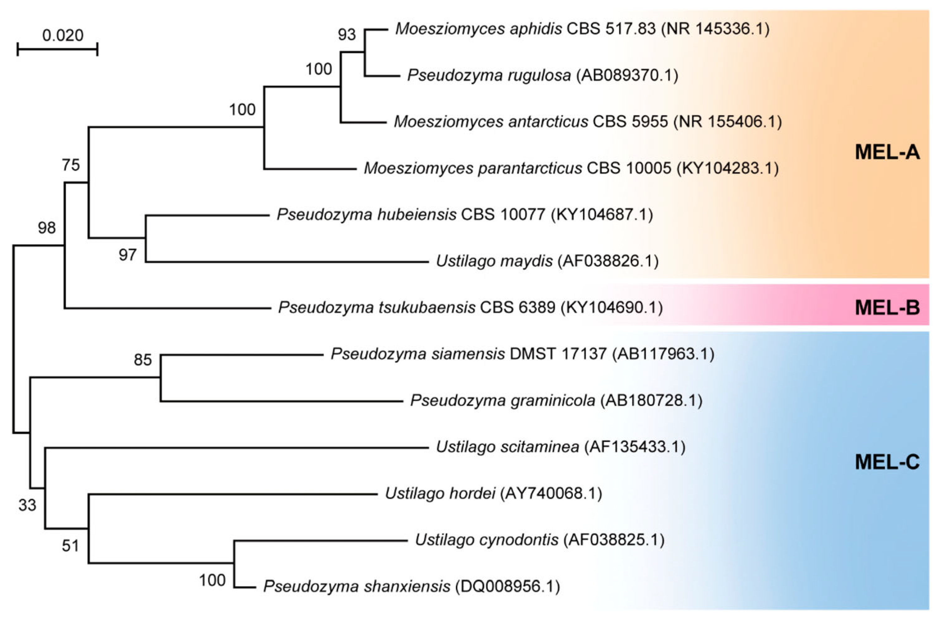 Applsci 14 09891 g008