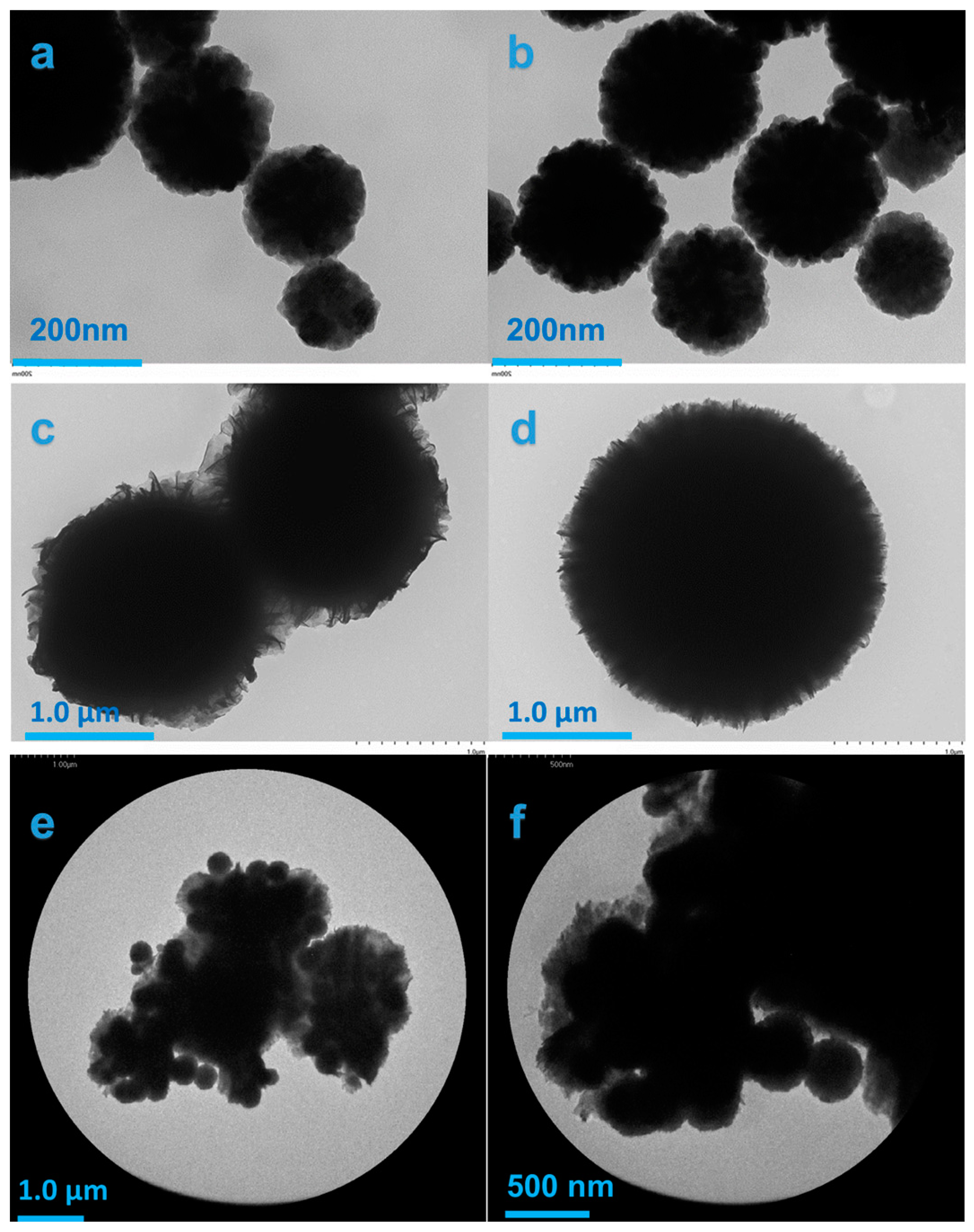 Applsci 14 09898 g004