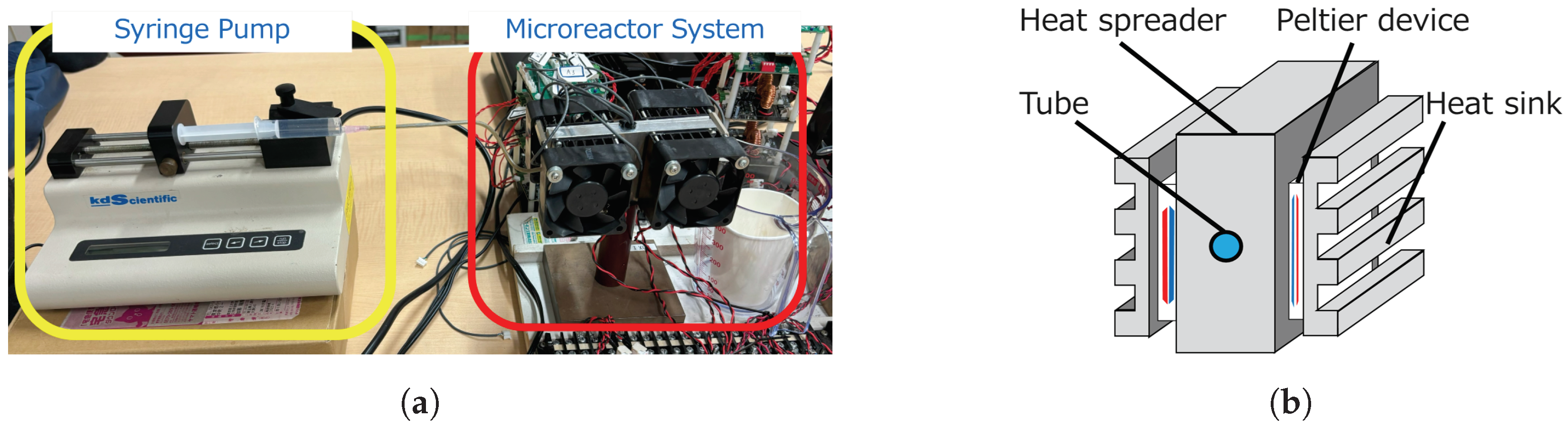 Applsci 14 09907 g001