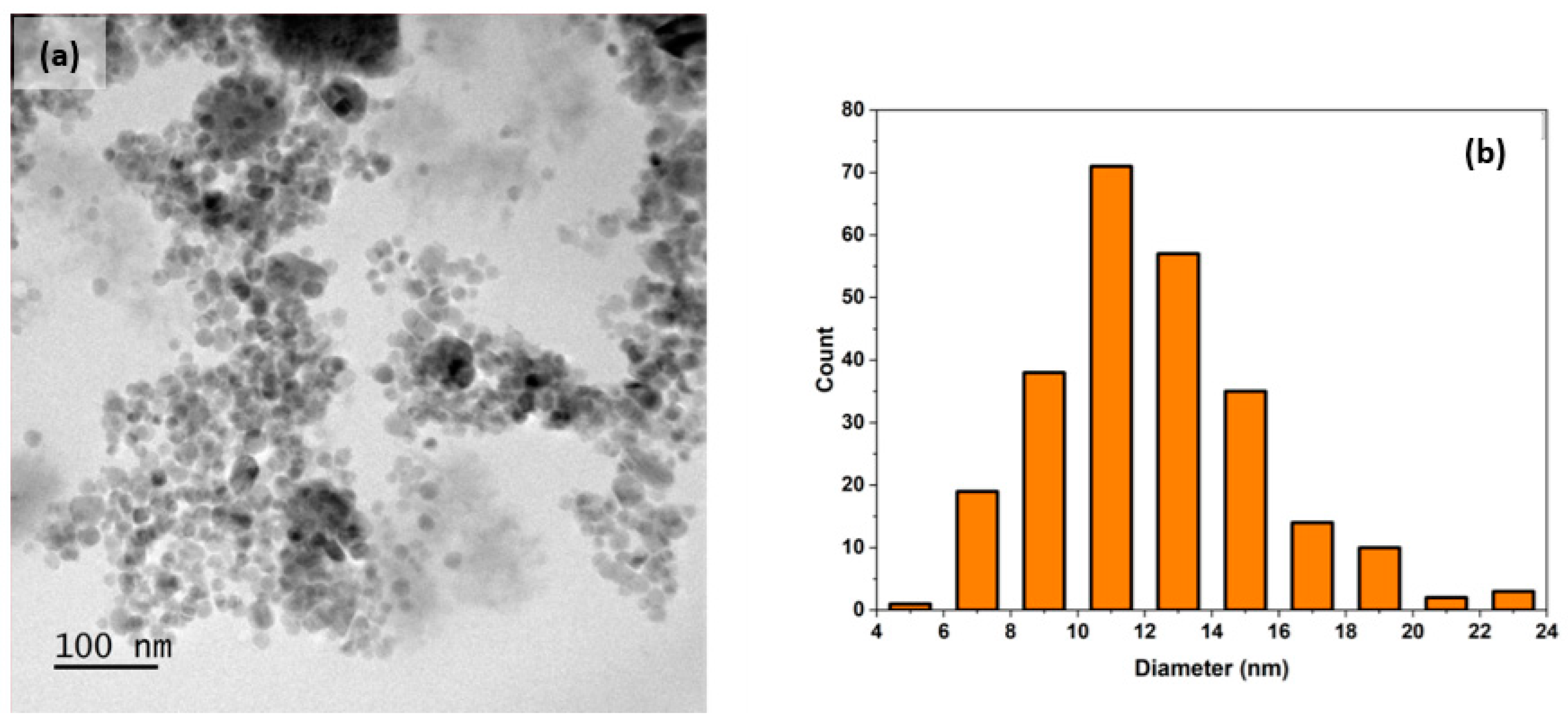 Applsci 14 09923 g002